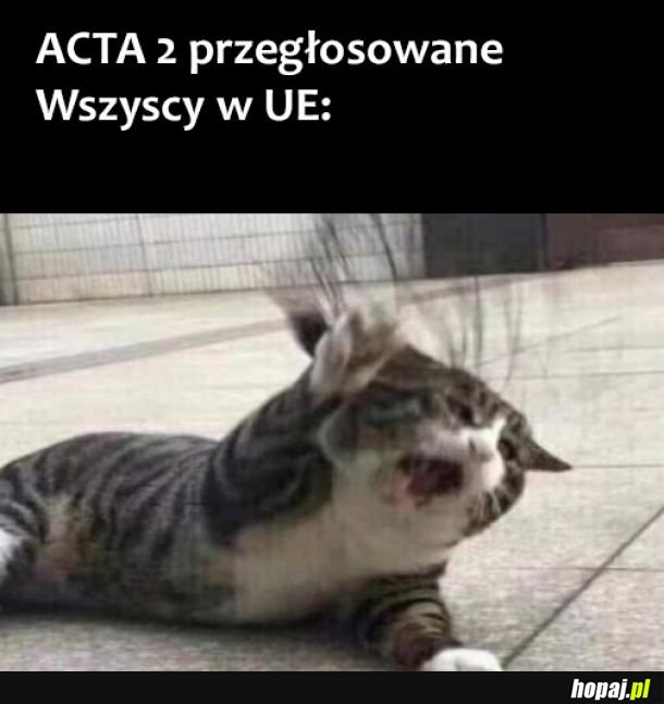 ACTA 2 