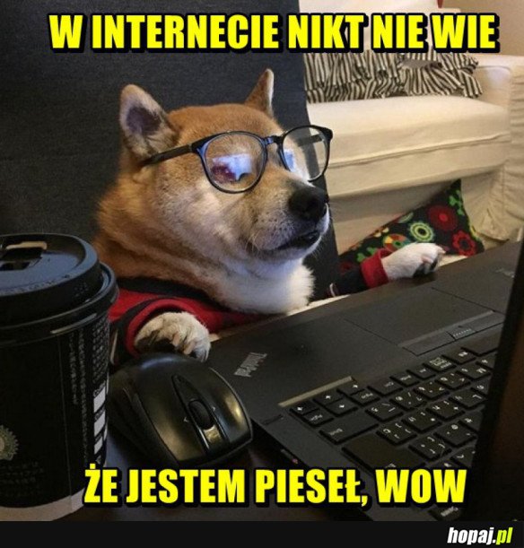 NIKT NIE WIE