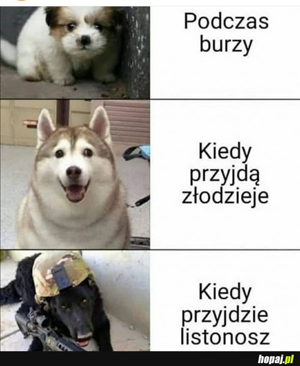 Pieski