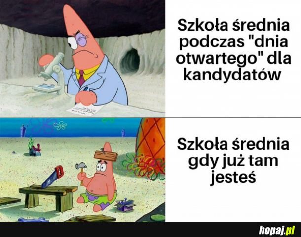 Dzień otwarty w szkole