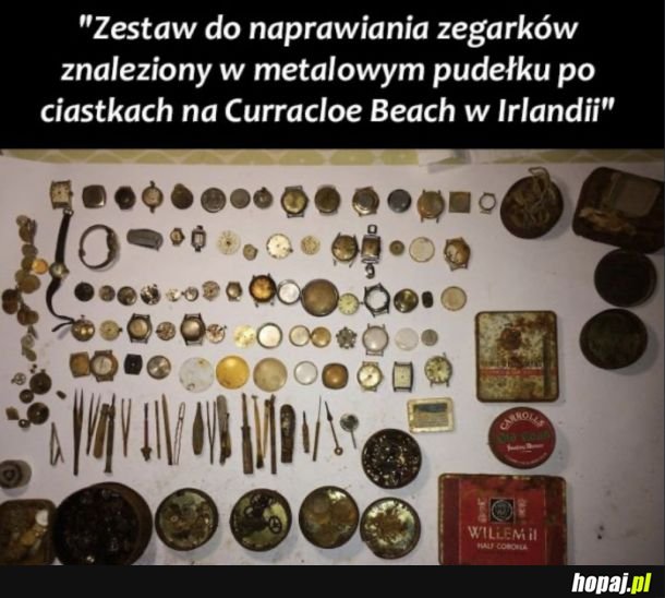 Ciekawe rzeczy, które ludzie znaleźli na plaży