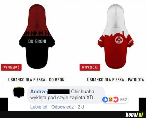 Patriotyczny cziłała