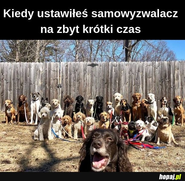 Co robi UFO na płocie? 