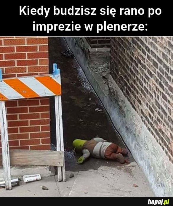 Po imprezie