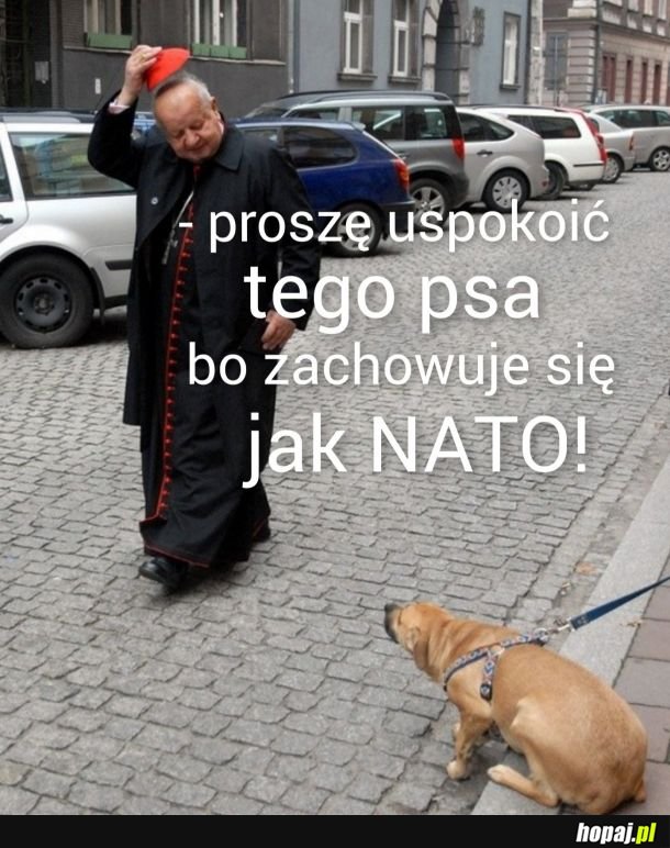 Przejść spokojnie nie można przez to NATO!