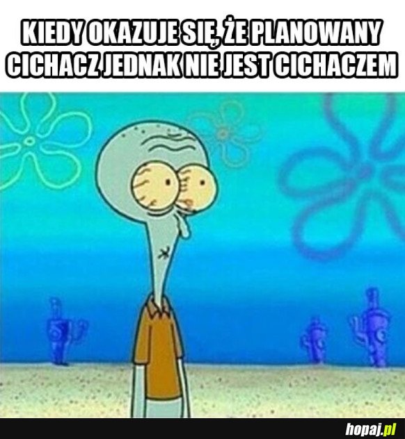 PRZYPAŁ W ZWIĄZKU Z CICHACZEM