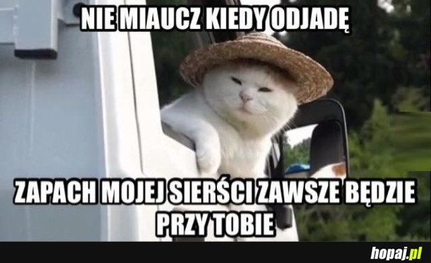 NIE PŁACZ