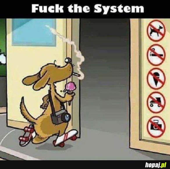 FU*K THE SYSTEM