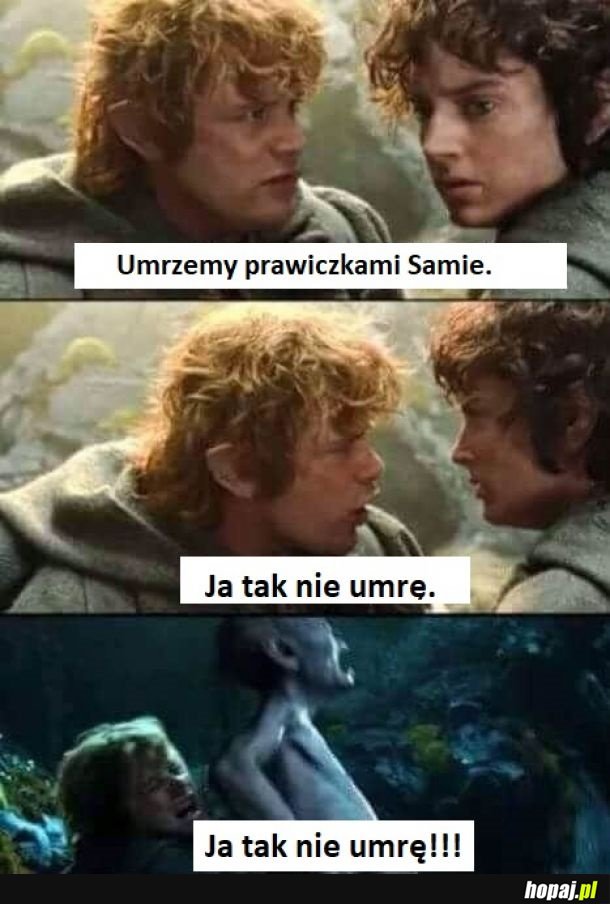 Cokolwiek co się rusza.