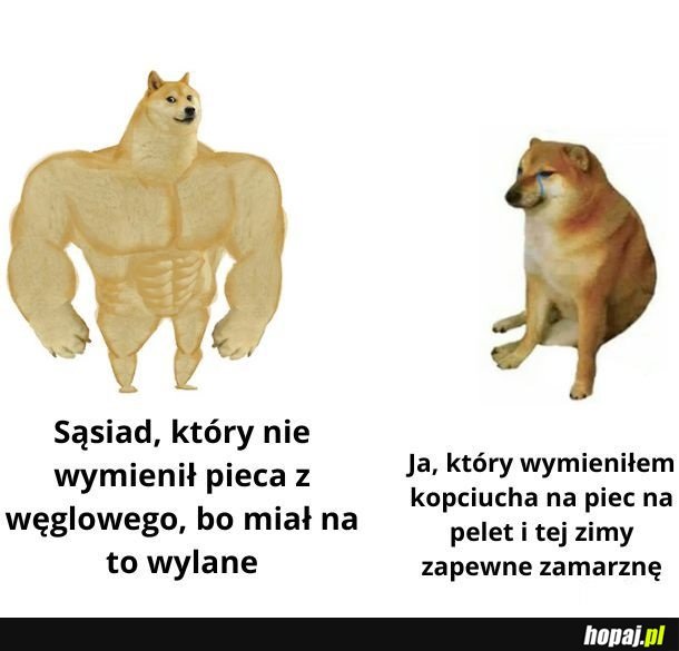 Głupi byłeś i słuchałeś rządu.. To masz!