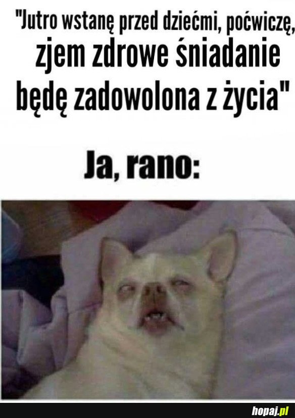 KAŻDEGO WIECZORU TO SAMO