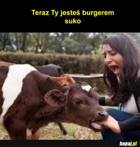 TERAZ TY JESTEŚ BURGEREM