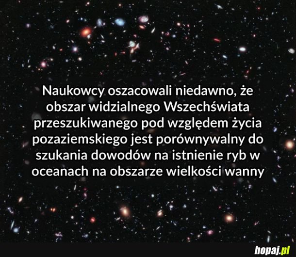 Szukanie igły w stogu siana
