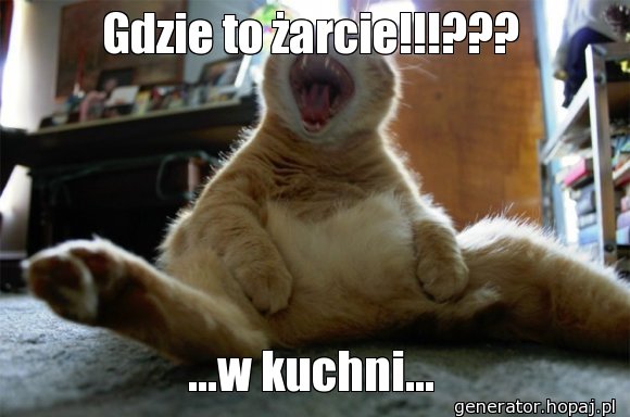 Gdzie to żarcie!!!???