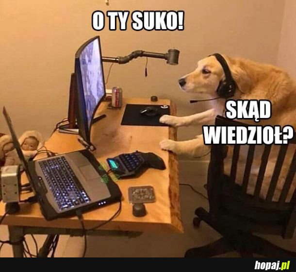 Każdego dnia