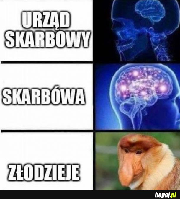 Janusz wie lepiej
