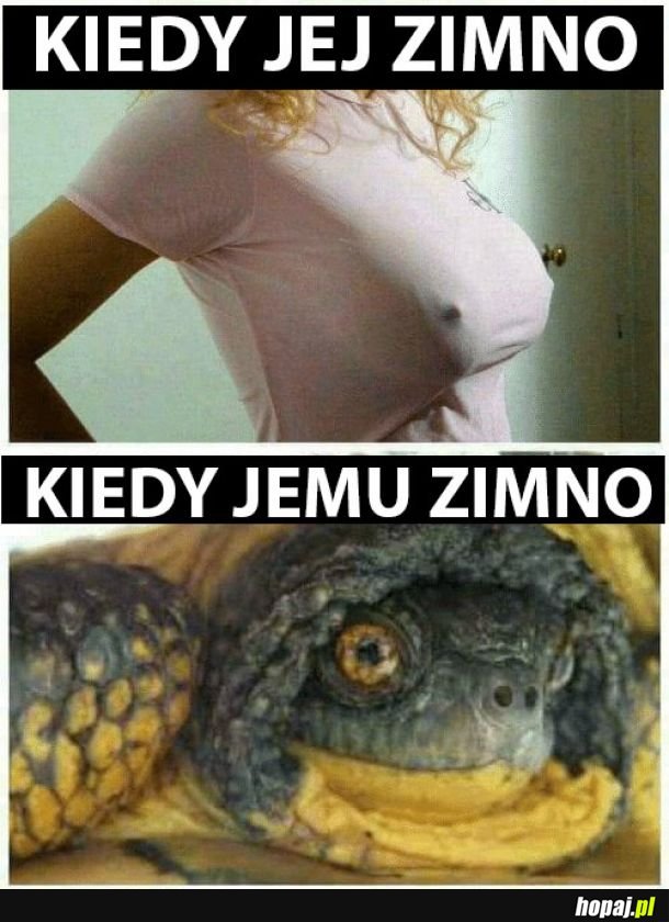 Kiedy zimno