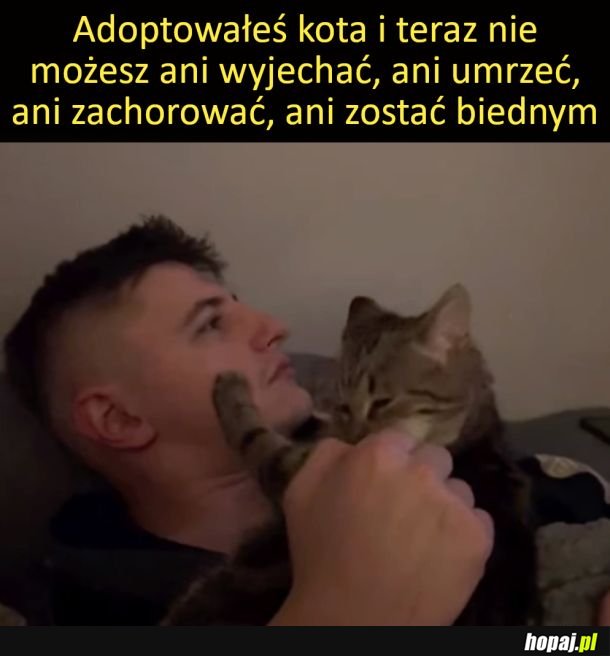 Gorzej niż  z dzieckiem xd