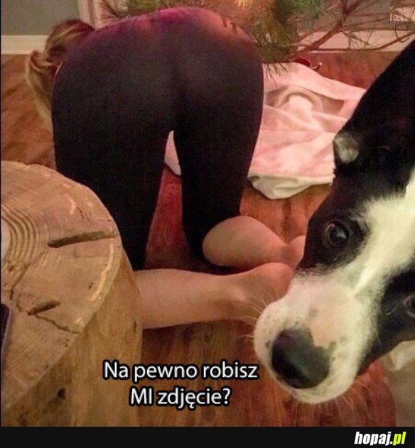 Co ten pańcio?