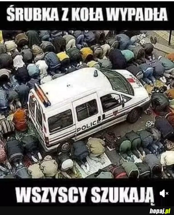 Brawo niemiecka policja