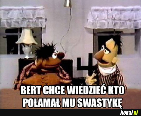 KTO TAKI MĄDRY