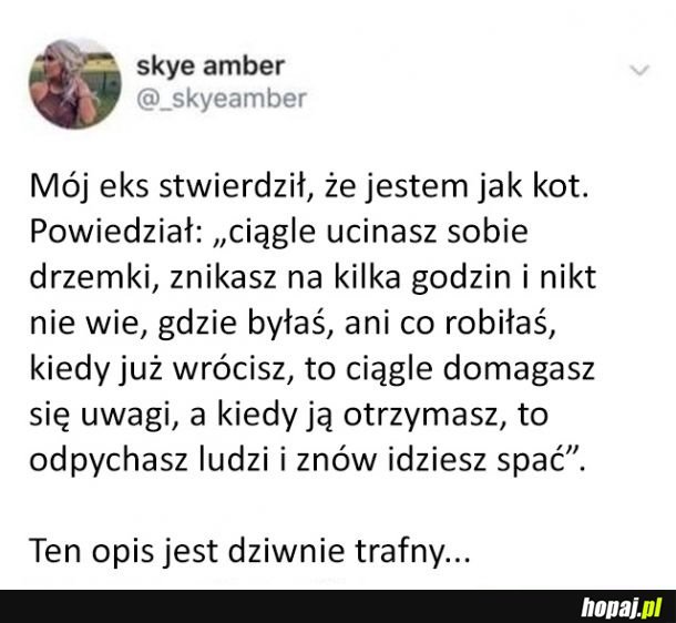 Trafny opis byłej