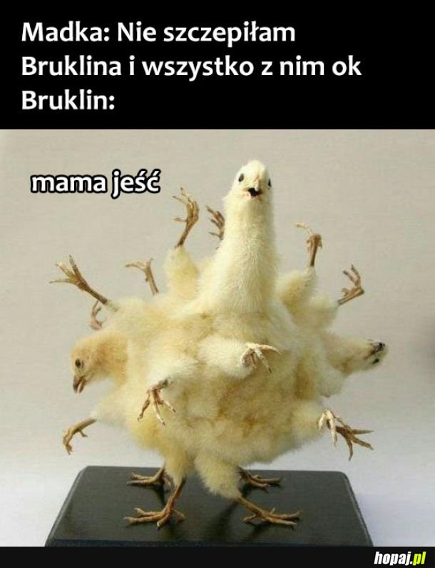  Bruklin 