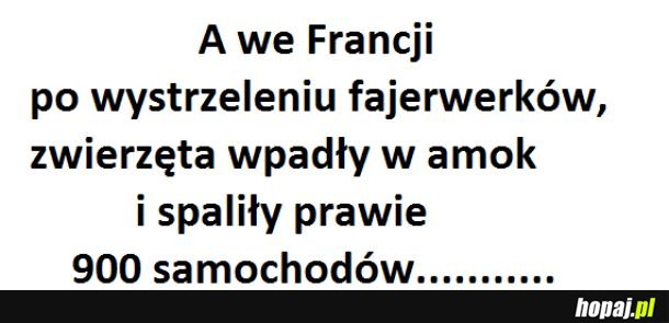 Pamiętaj! Zwieęta boją się fajerwerków. 