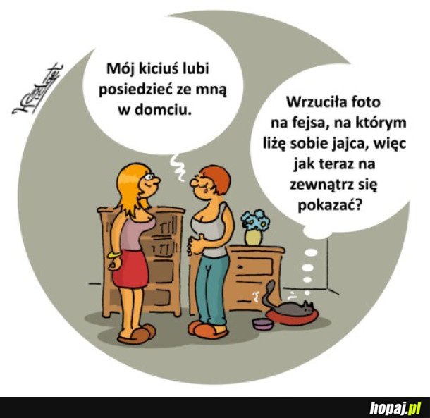 Kot