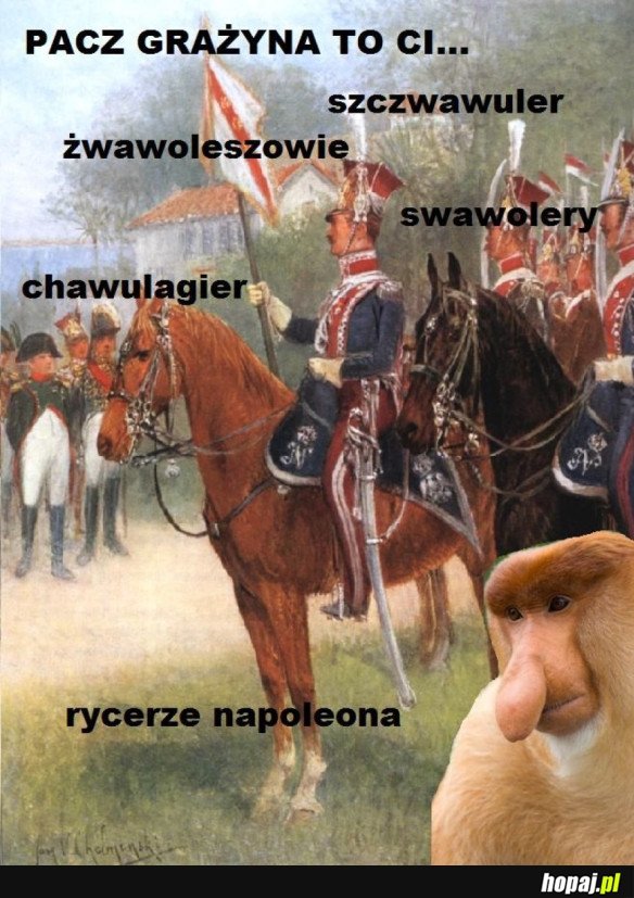 PACZ GRAŻYNA TO...