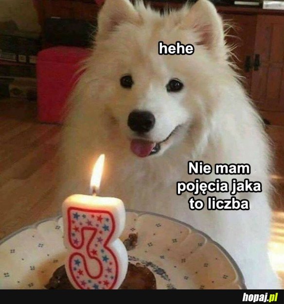 URODZINOWY PIESEK