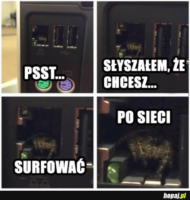 PRZEWODNIK PO SIECI