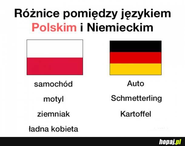  Różnica pomiędzy językiem 