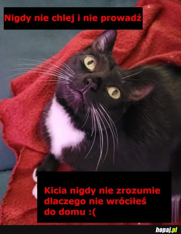Prawda