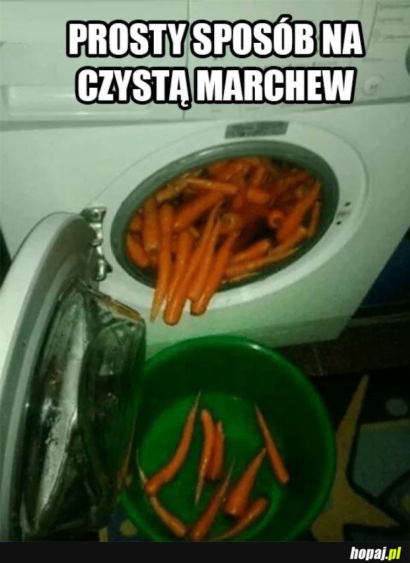 CZYSTA MARCHEW