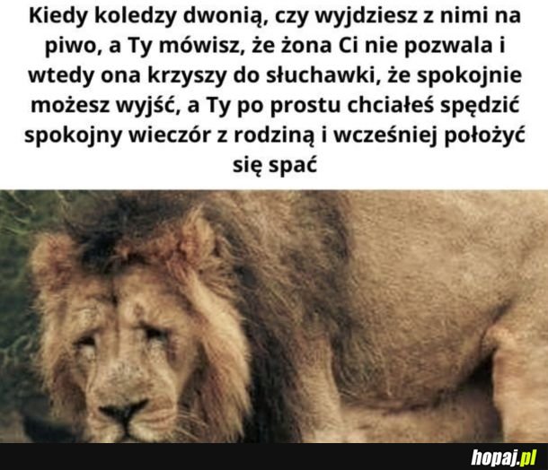 Nie udało się zwalić na żonę