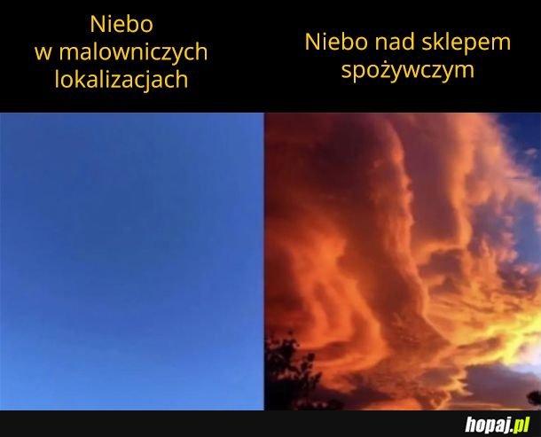 Dlaczego