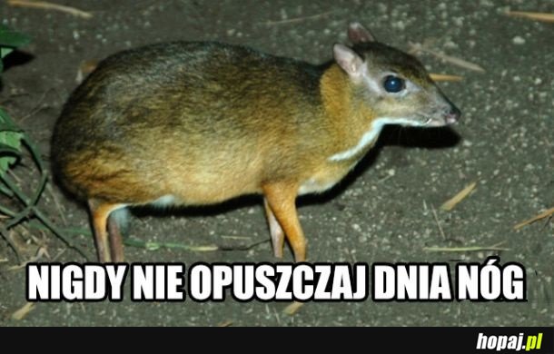 Dobra rada na dziś