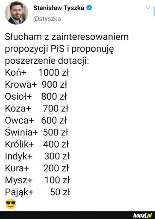 W Polsce wszystko jest możliwe 