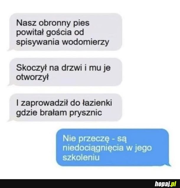 Piesek