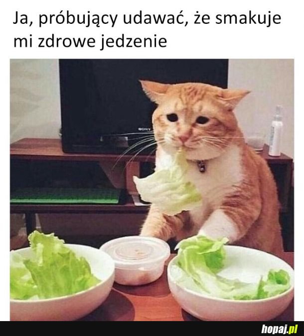 Co mnie podkusiło...