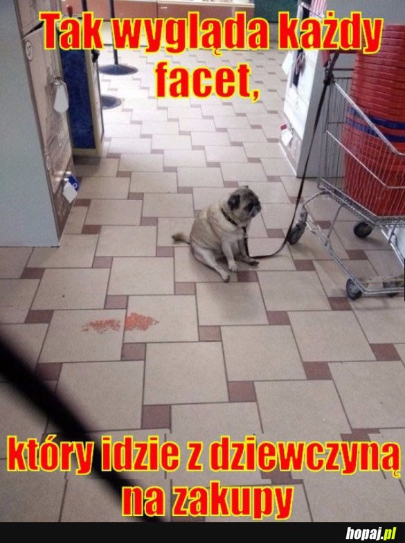 TAK WYGLĄDA KAŻDY FACET