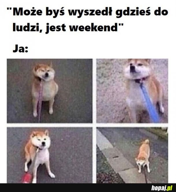 Może jednak nie