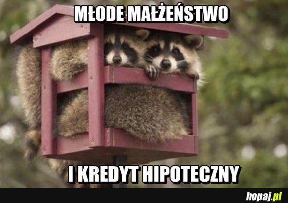 Małżeństwo w Polsce