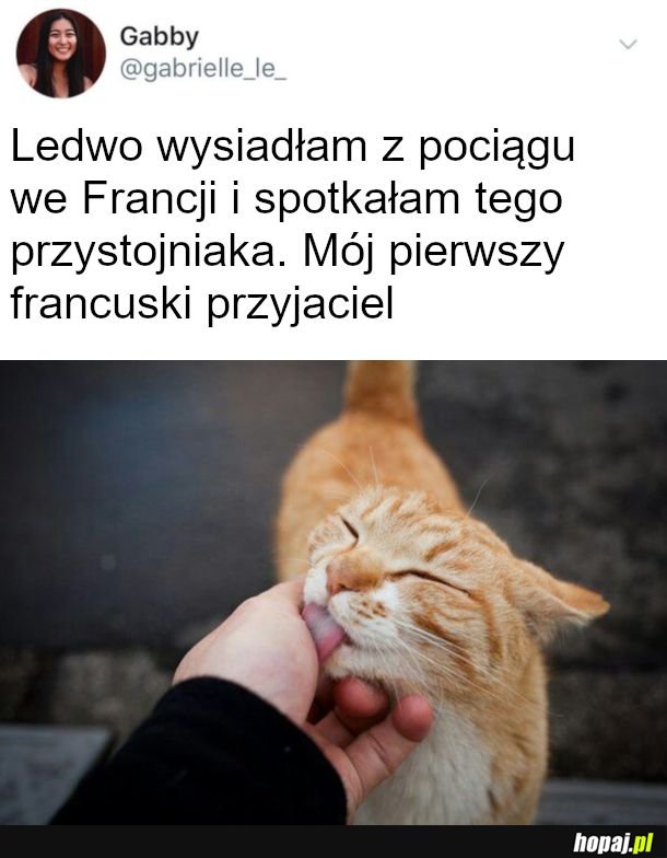Taki kolega 