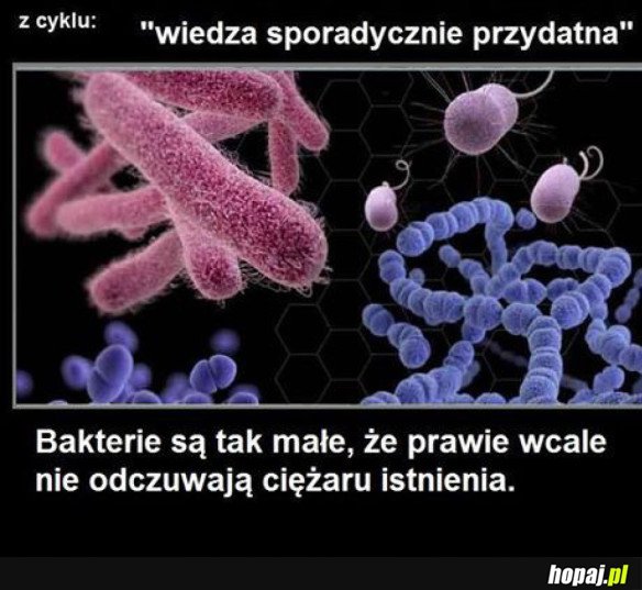 WIEDZA SPORADYCZNIE PRZYDATNA