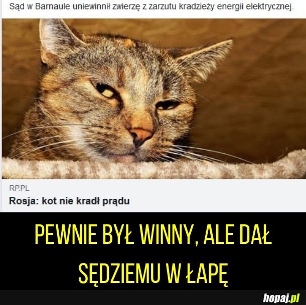 Czo ten koteł?
