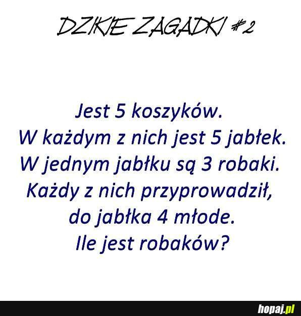 Dzika zagadka