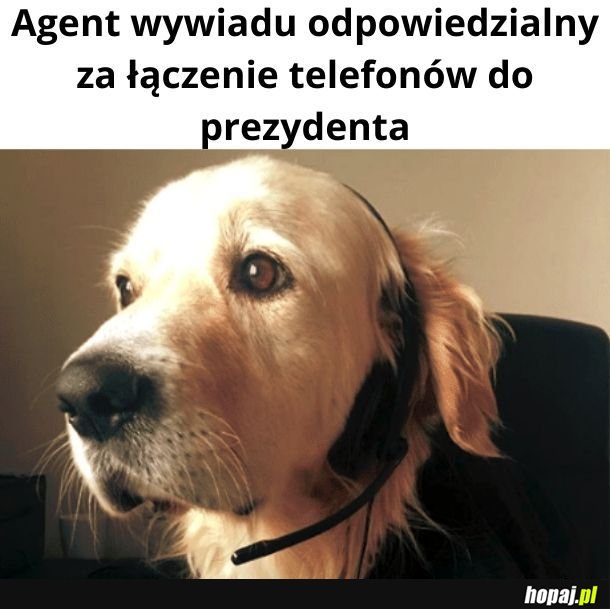 Żarcik. Wygląda na zbyt kompetentnego.