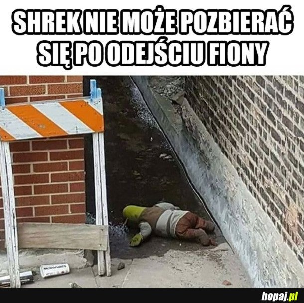 UCIEKŁ W ALKOHOL